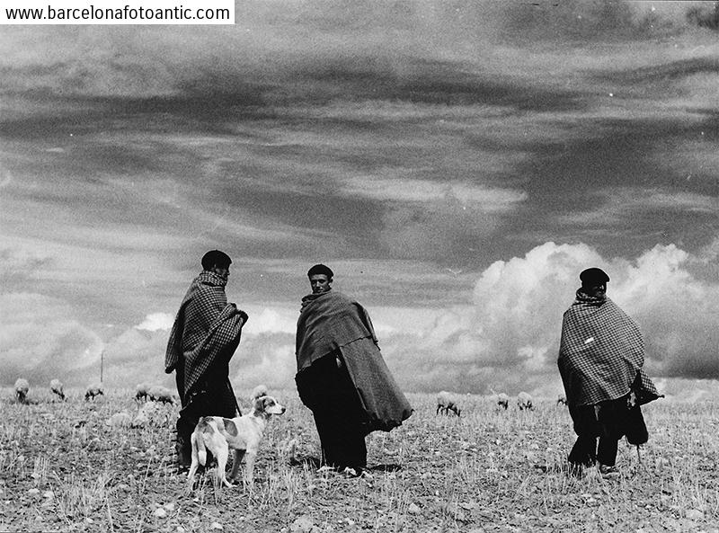 Shepherds of Sigüenza