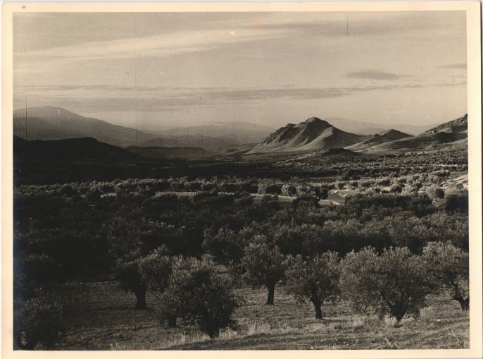 Landscape of El Frasno