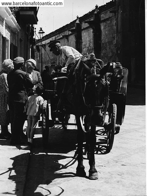 Coche de caballos en Córdoba