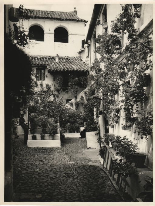 Un típico patio florido de Córdoba