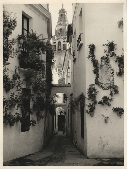 The Flowers Alley in Córdoba