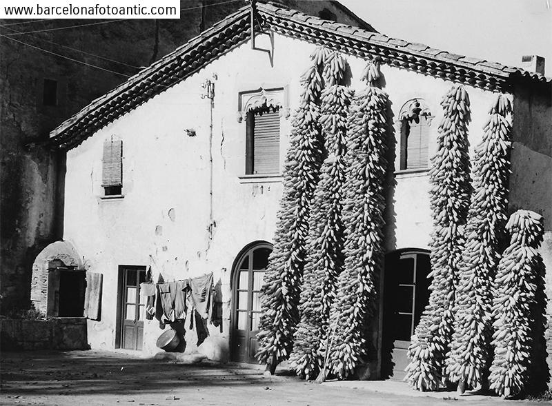 Farmer House Masia in Sant Celoni