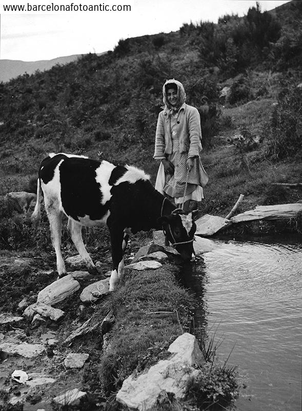 Pastora de vacas en Can Piñoca