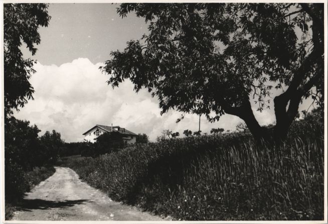 Camí rural de El Papiol